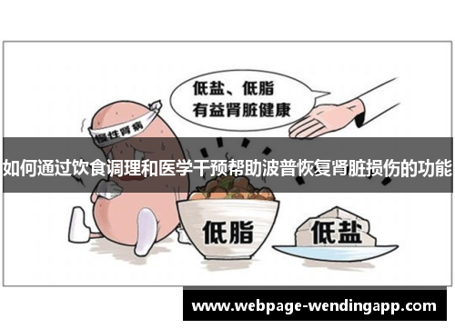 如何通过饮食调理和医学干预帮助波普恢复肾脏损伤的功能 如何通过饮食调理和医学干预帮助波普恢复肾脏损伤的功能