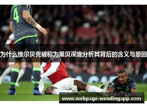 为什么维尔贝克被称为黑贝深度分析其背后的含义与原因