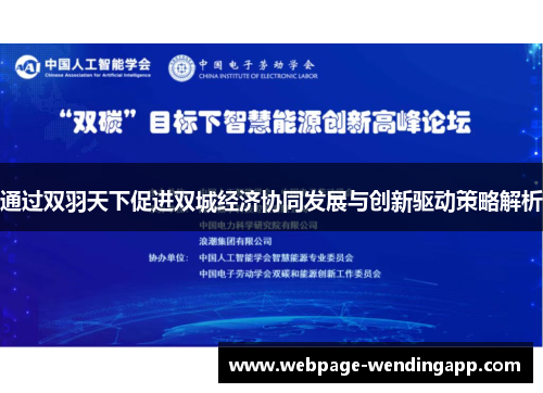 通过双羽天下促进双城经济协同发展与创新驱动策略解析