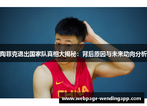 陶菲克退出国家队真相大揭秘：背后原因与未来动向分析