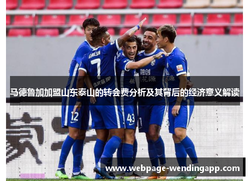 马德鲁加加盟山东泰山的转会费分析及其背后的经济意义解读