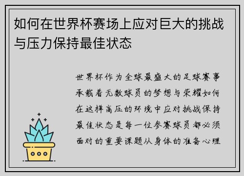 如何在世界杯赛场上应对巨大的挑战与压力保持最佳状态